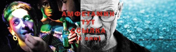 гашик Алексин