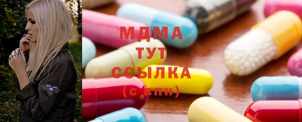 гашик Алексин