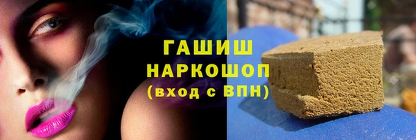 гашик Алексин