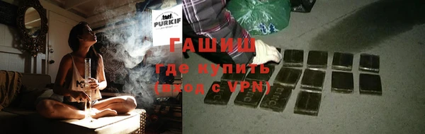гашик Алексин