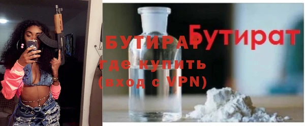 гашик Алексин