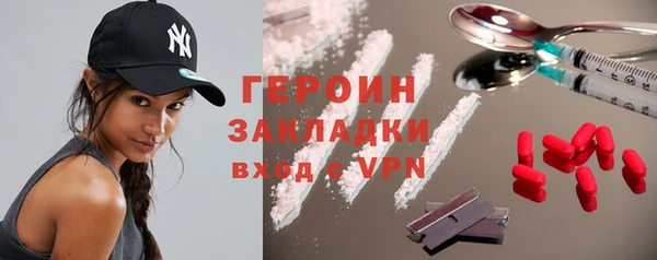 гашик Алексин