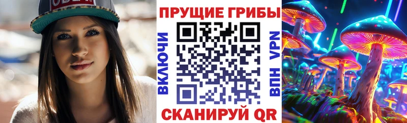 mega зеркало  Рубцовск  Галлюциногенные грибы мухоморы 